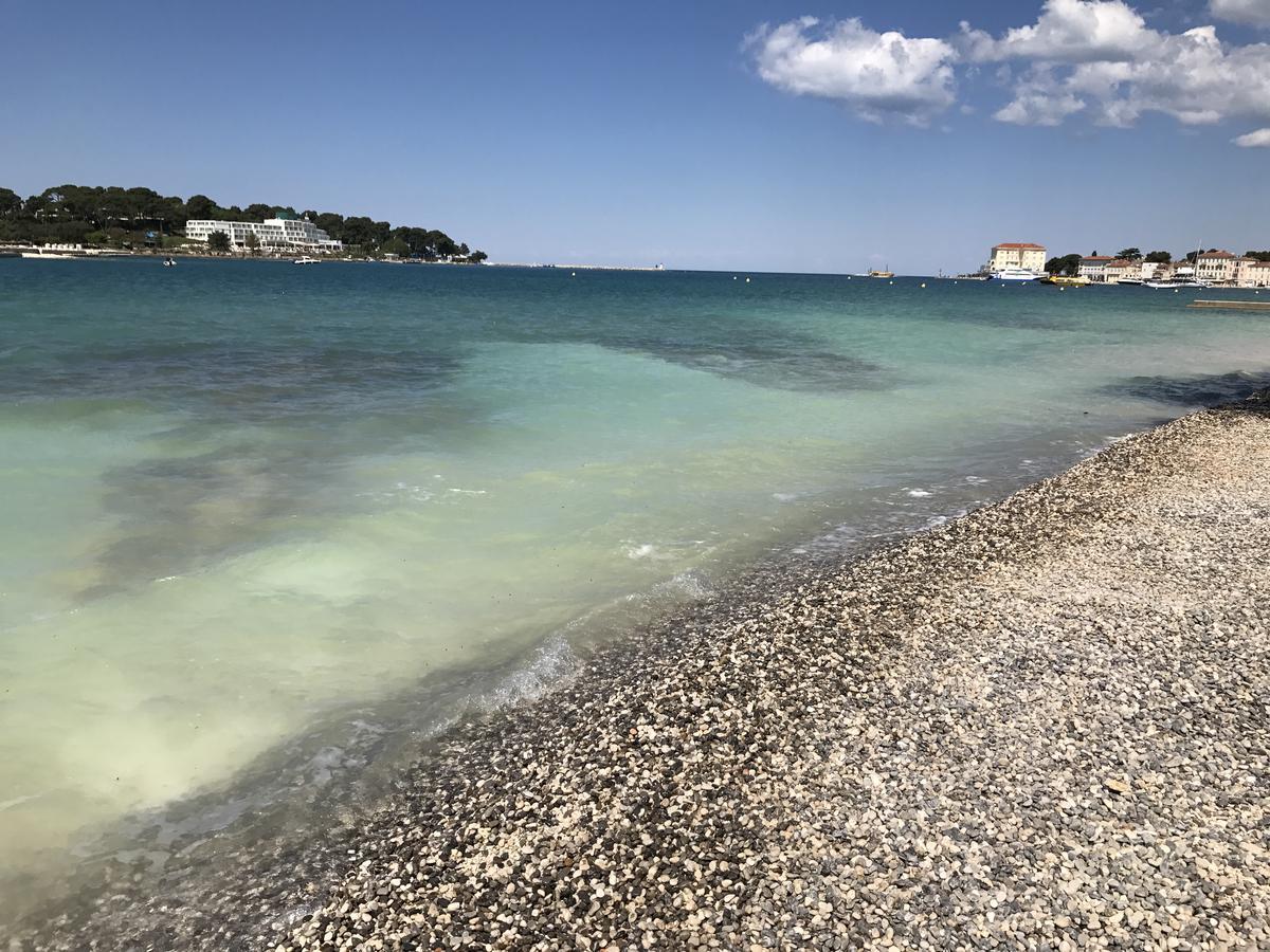 Apartments Dario Poreč Eksteriør billede